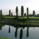 Brenta esotico tra Tartarughe, Nutrie e Siluri
