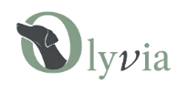 Olyvia Digital Marketing Agency